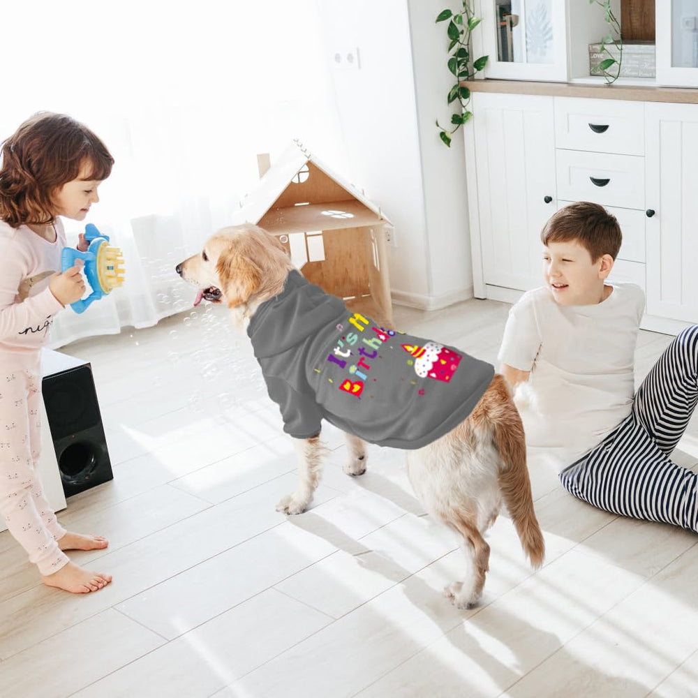 GreenJoy versión para gatos con capucha en gris, confort diario