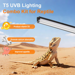 GREENPAW T5 UVB con reflector pulido para mayor intensidad en terrarios.