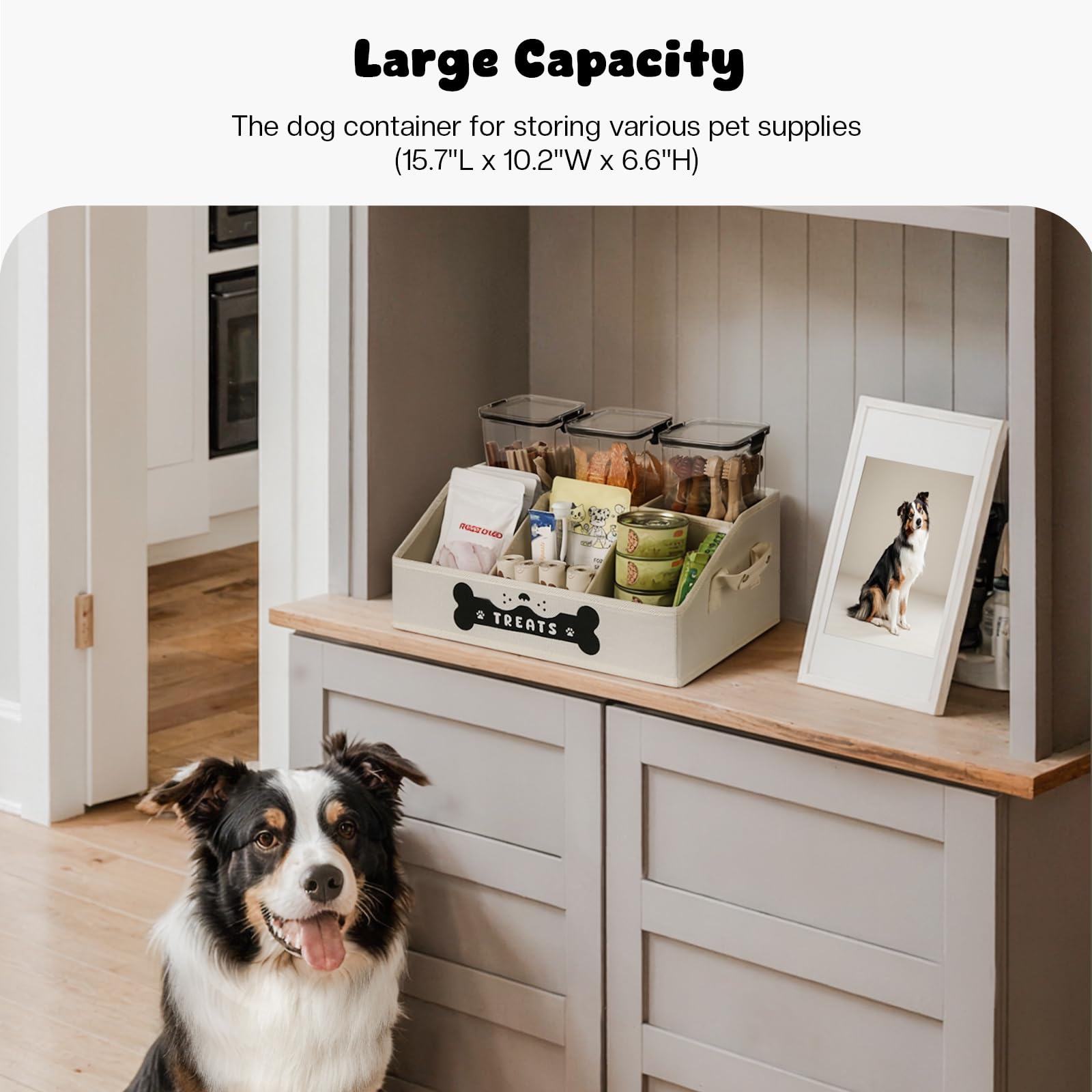 GreenPetopia dog treat container with removable dividers for flexible organization.