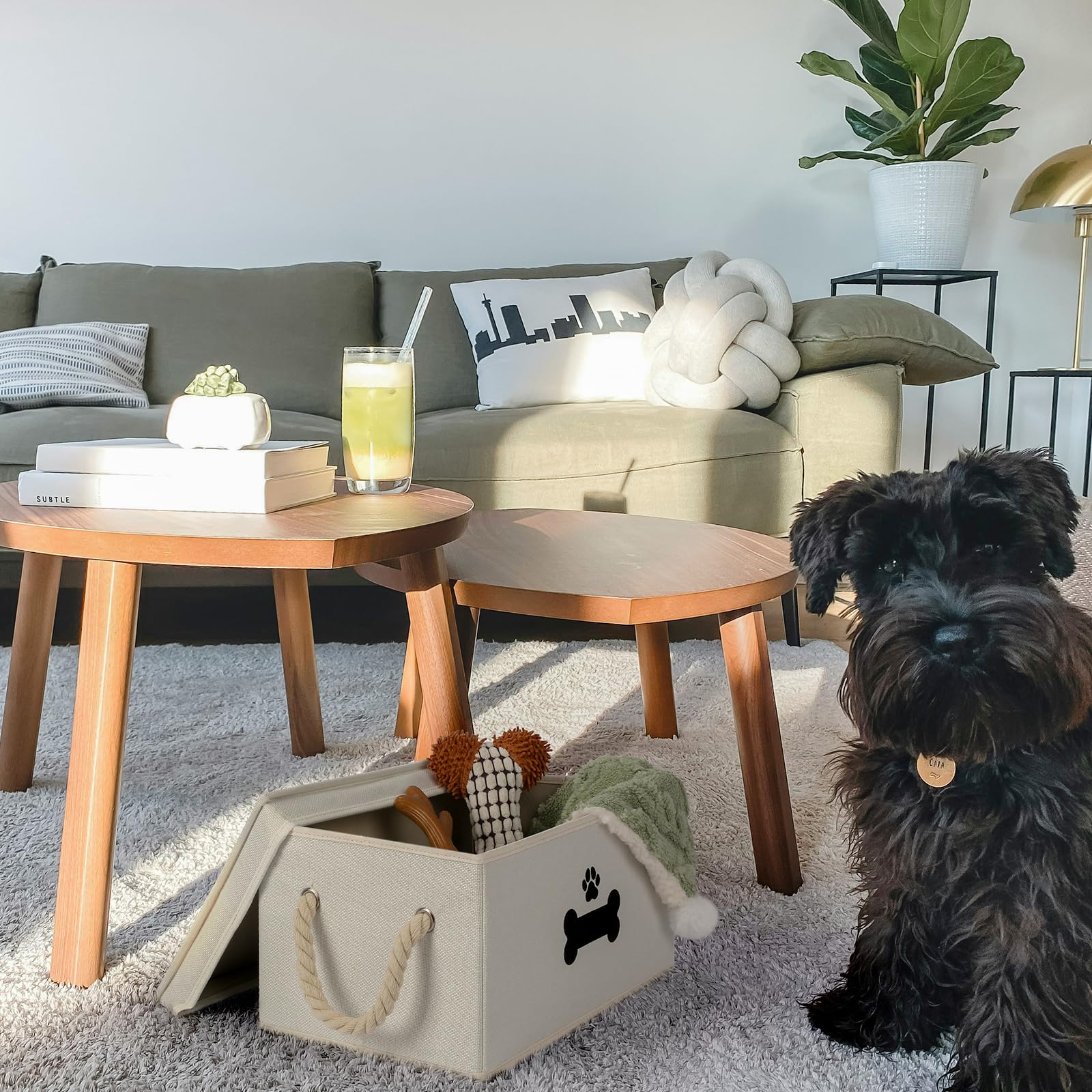 GreenPetopia organizador para perros: ropa y juguetes en un solo lugar.