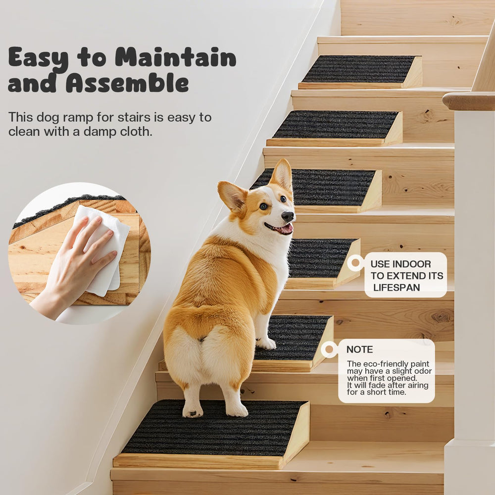 GreenPetopia, rampa apta para uso interior, ideal para entrenar a tu mascota.
