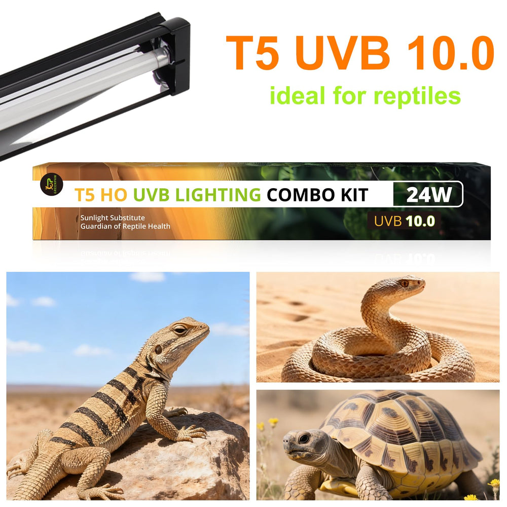GREENPAW T5 luz reptil espectro equilibrado para simulación solar.