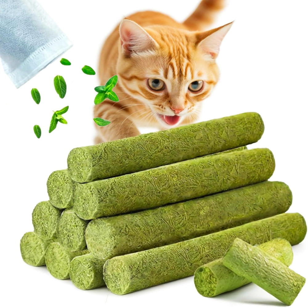 GREMBEB hierba-gato-mordedor ayuda a limpieza dental y masticación saludable