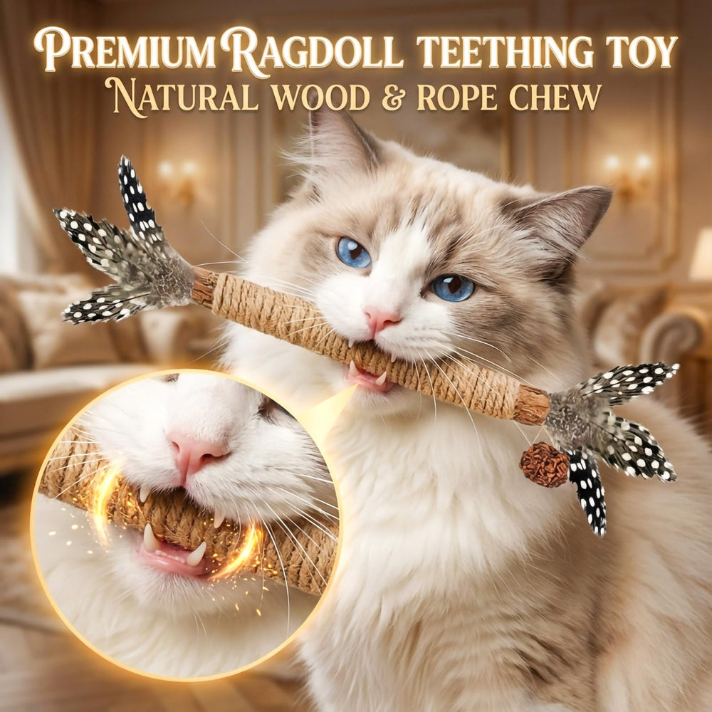 GREMBEB juguete dental para gatos con textura y masticación