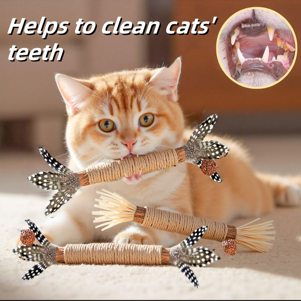 GREMBEB kit de 12 palitos para gatos, entretenimiento interior