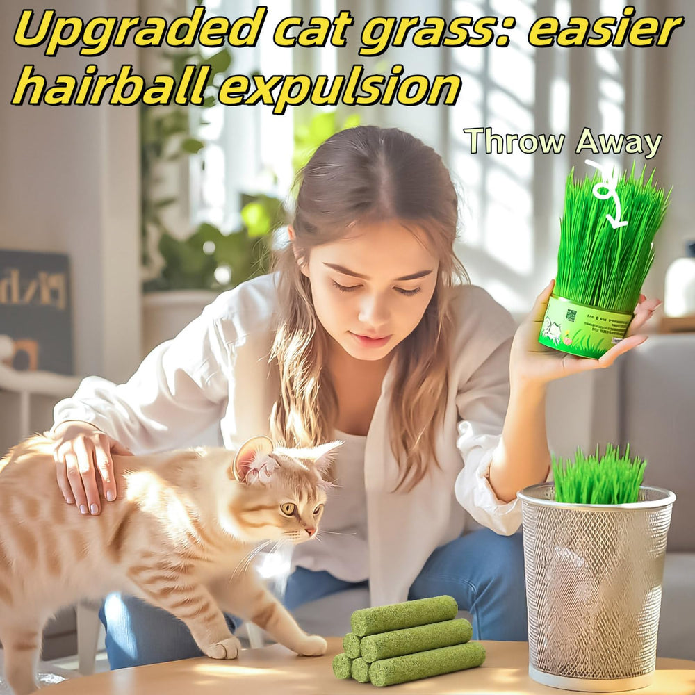GREMBEB merienda-dental-gato promueve limpieza dental y bienestar