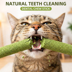 GREMBEB merienda-secado-gato-frio conserva sabor natural y textura crujiente
