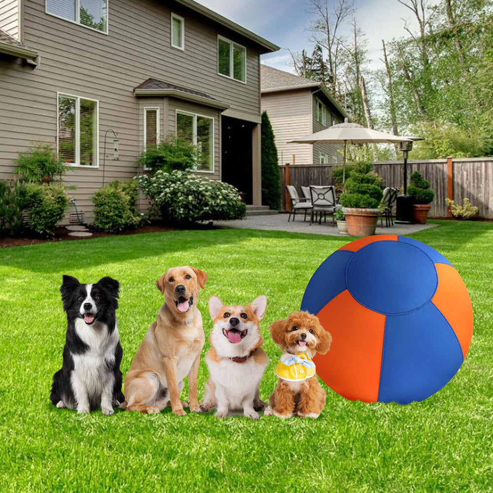 GRETMIX uso-educativo-actividad-fisica, perfecto para perros activos.