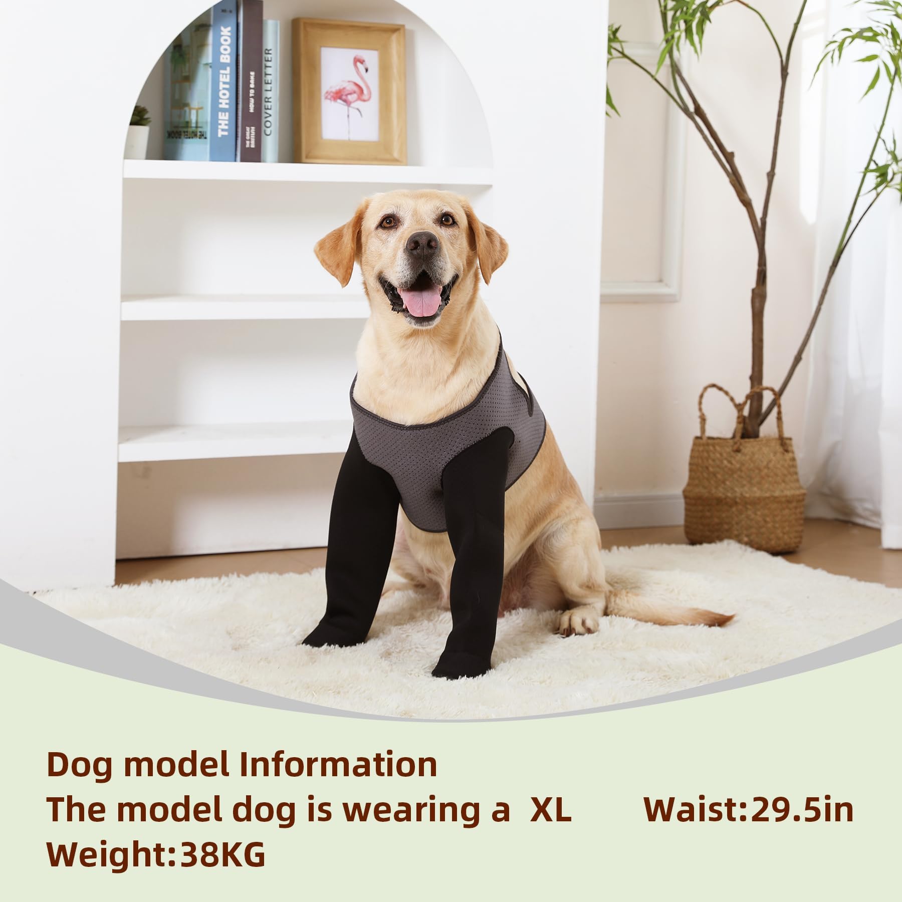 Diseño transpirable Grettytling, mejora la ventilación y reduce sudor en patas
