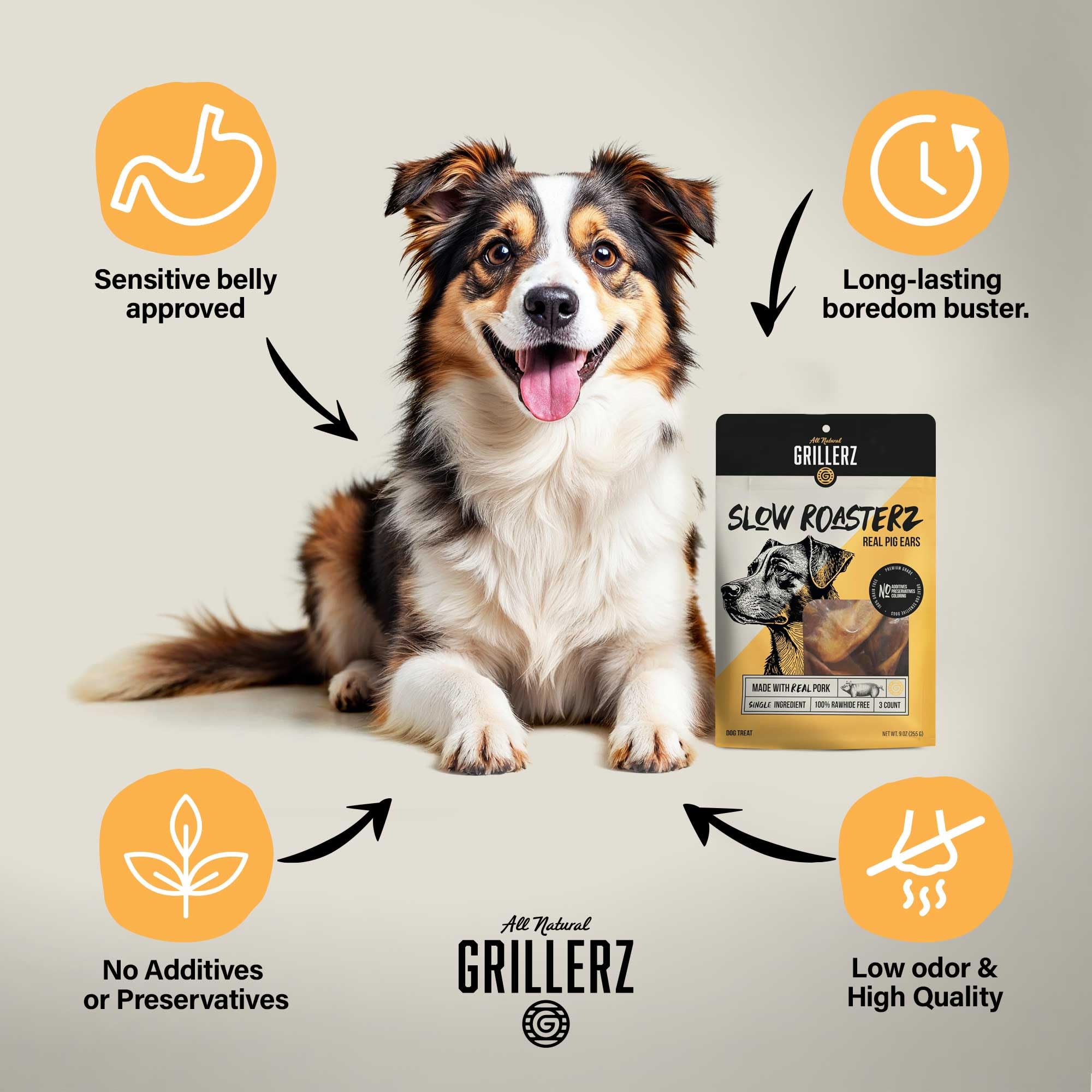 Grillerz orejas de cerdo naturales para perros, snack de ingrediente único.