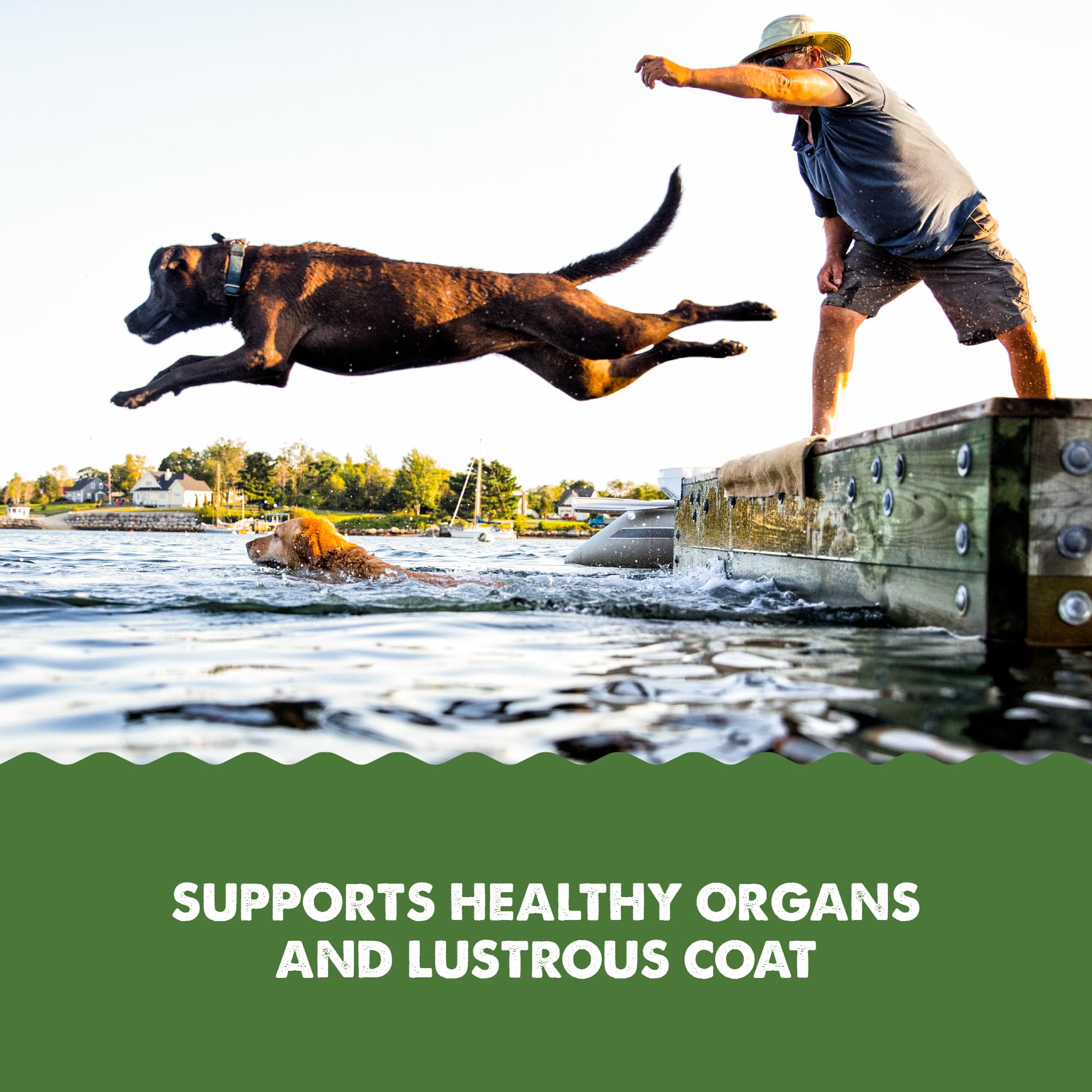 GRIZZLY Algal Plus Omega 3-6-9, EPA favorece piel y pelaje.