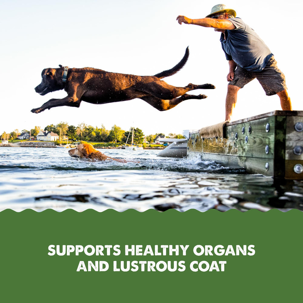 GRIZZLY Algal Plus Omega 3-6-9, EPA favorece piel y pelaje.