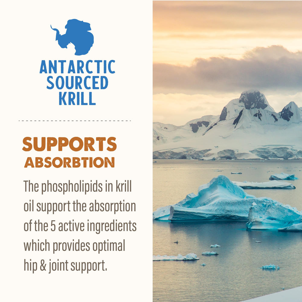 Grizzly Pet Products Aceite de krill para soporte articular.