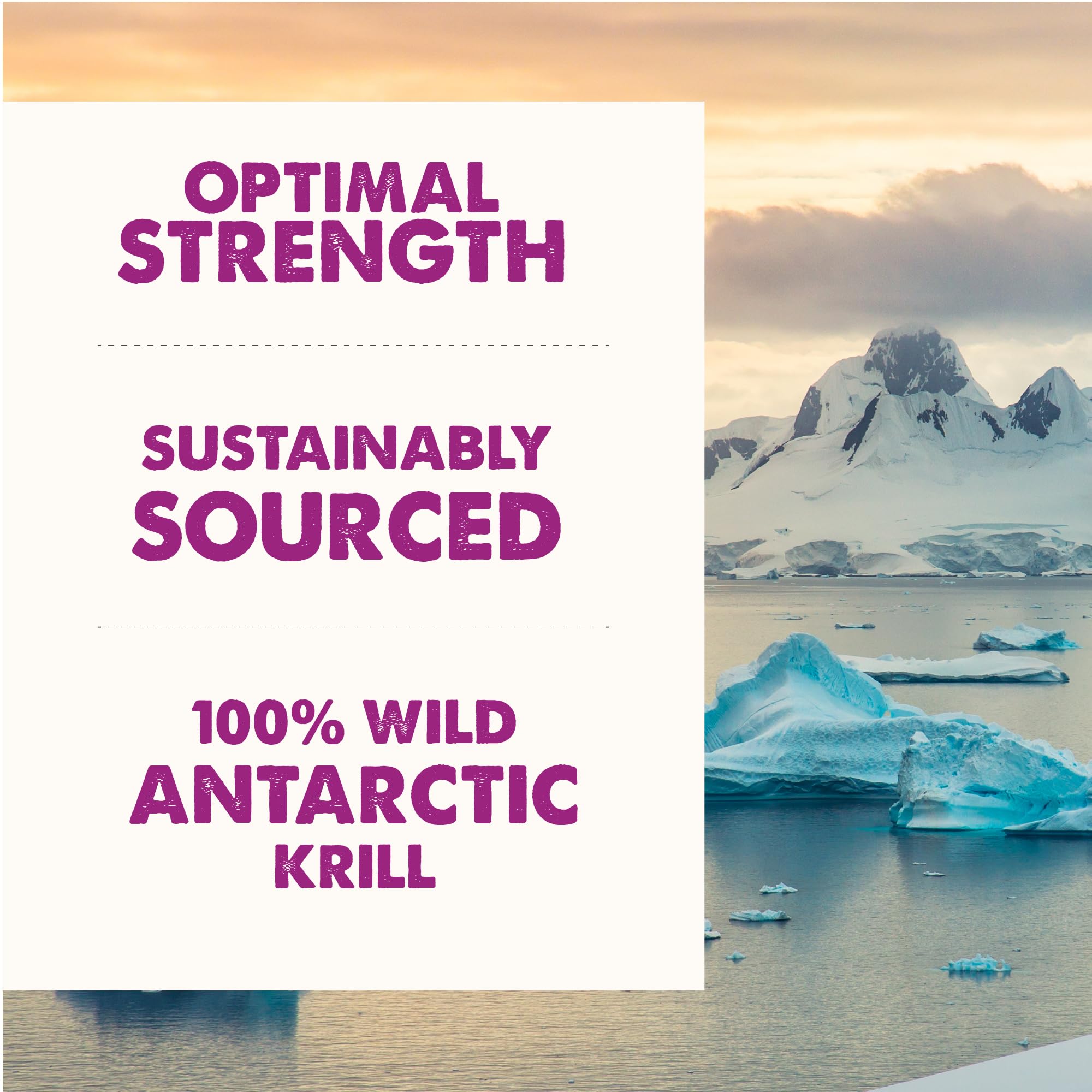 GRIZZLY Kril Oil: astaxantina natural para antioxidantes suaves