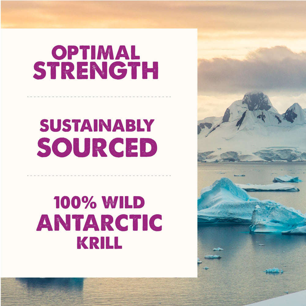 GRIZZLY Kril Oil: astaxantina natural para antioxidantes suaves