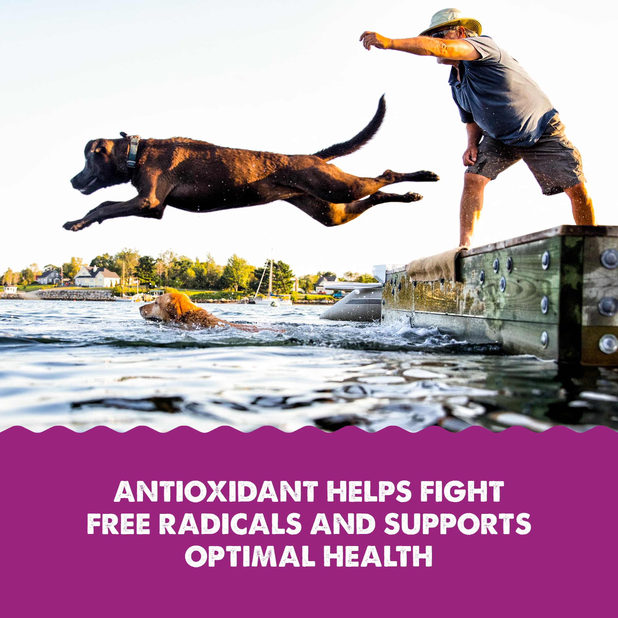 GRIZZLY Kril Oil: omega-3 para una dieta equilibrada de perros y gatos