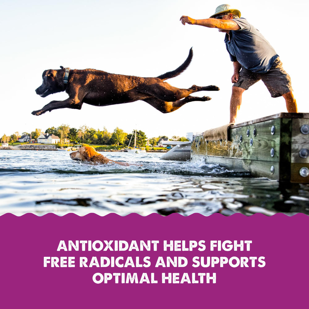GRIZZLY Kril Oil: omega-3 para una dieta equilibrada de perros y gatos