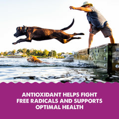 GRIZZLY Kril Oil: omega-3 para una dieta equilibrada de perros y gatos