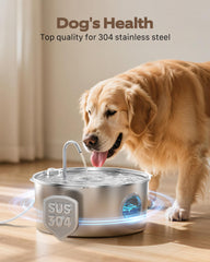 Bebedero GROOKPET con capacidad de 12L para varias mascotas.
