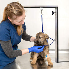 GROOMERSPRO Jelly lazo impermeable ideal para mesas y tinas de grooming