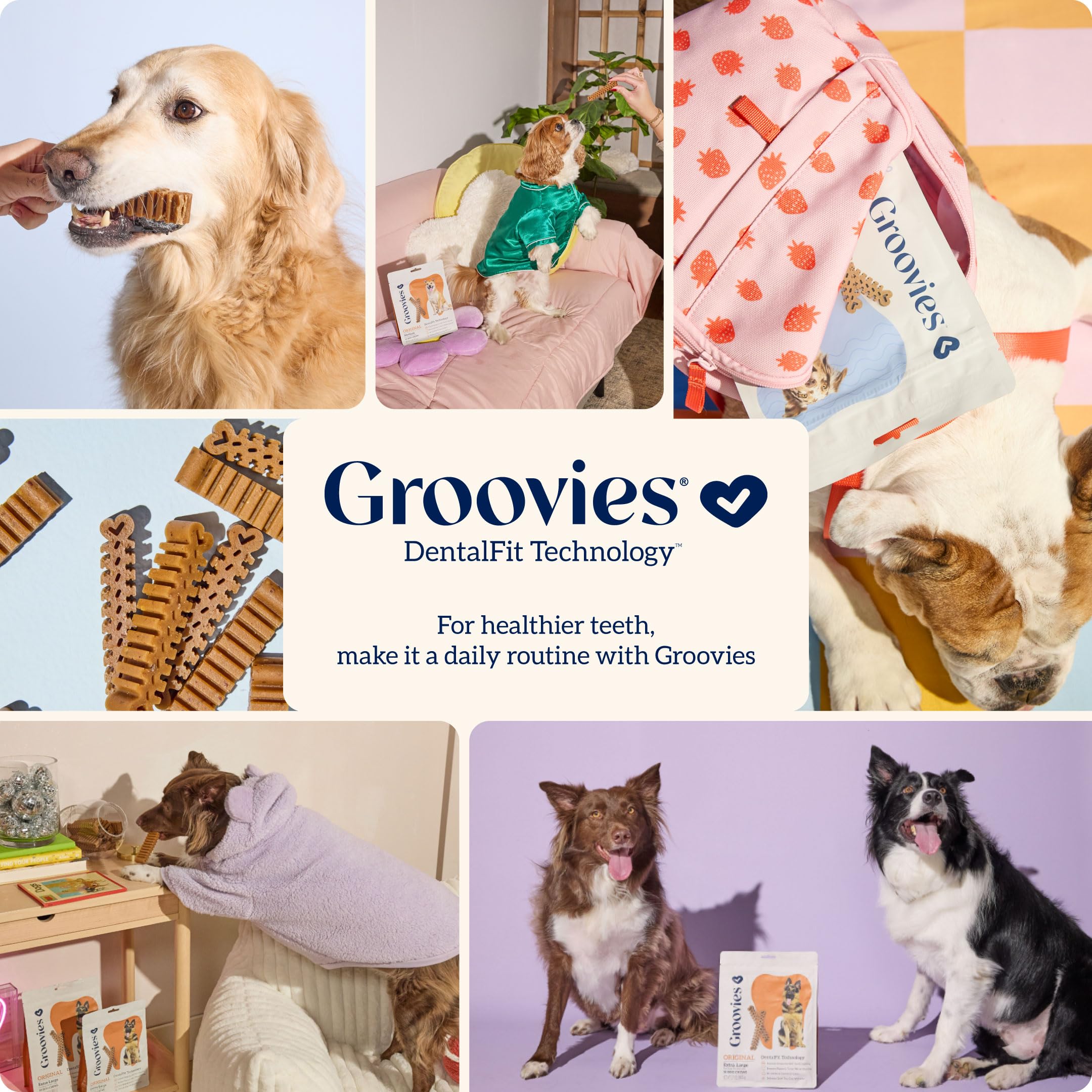 Groovies bocados dentales promoviendo higiene oral diaria