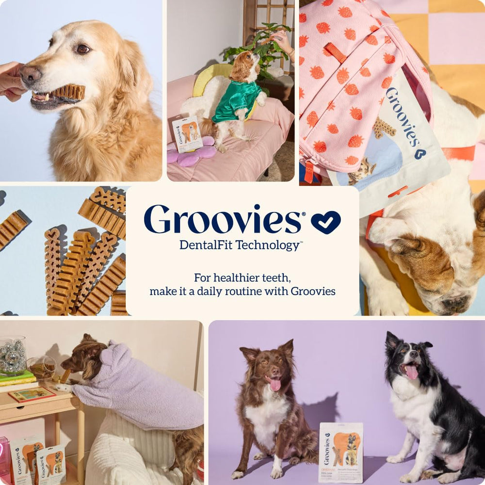 Groovies uso diario para cuidado bucal de tu mascota