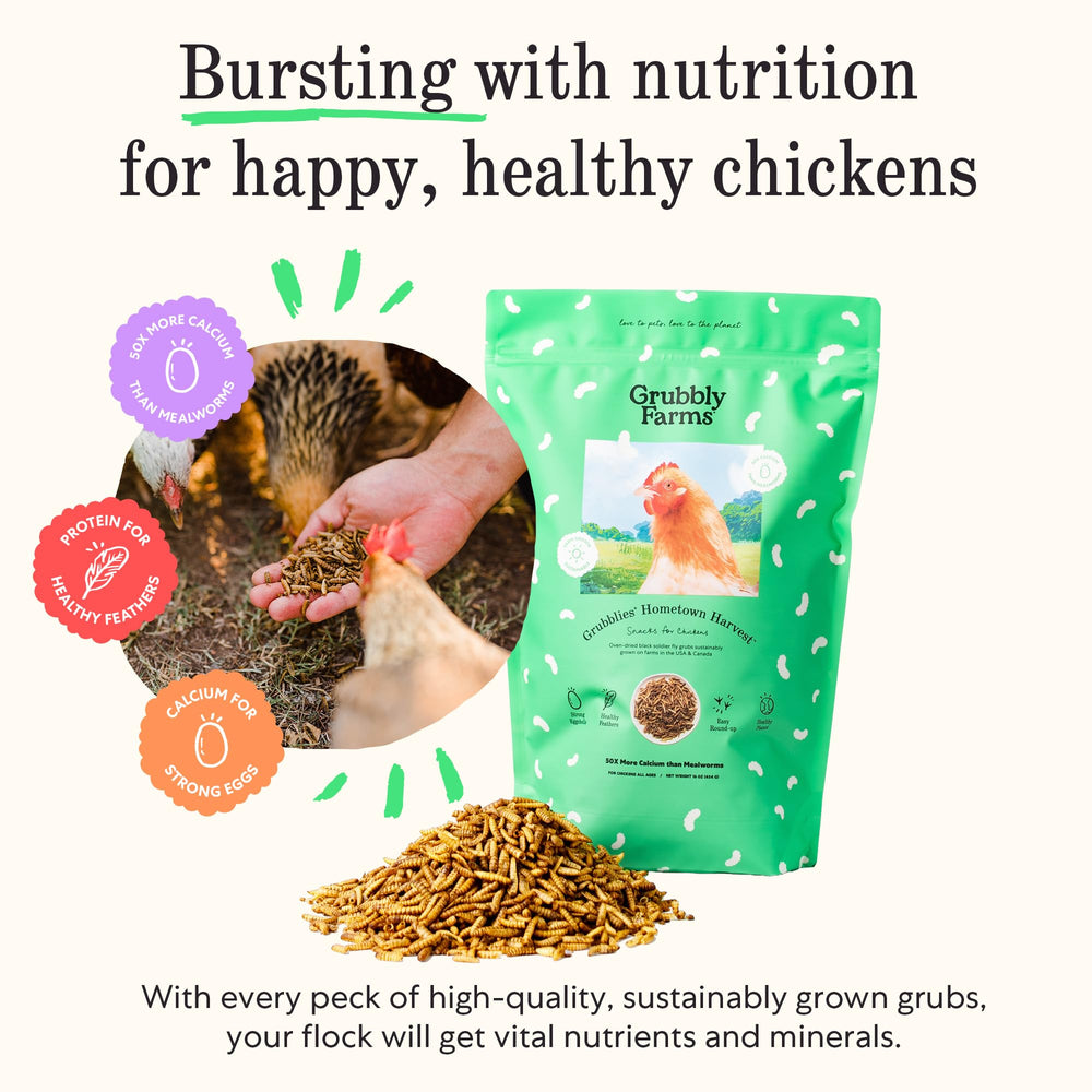 Grubbly Farms Grubblies: calcio alto de larvas para huevos fuertes y plumaje saludable.