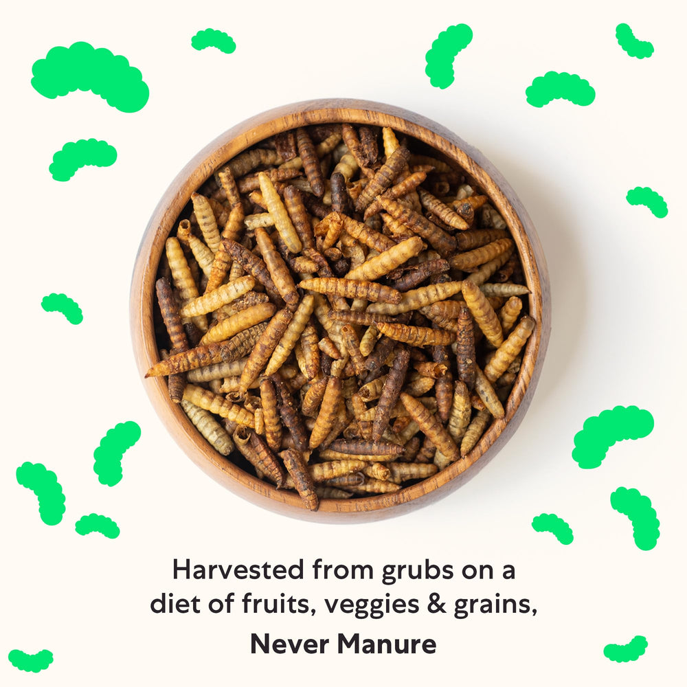 Grubbly Farms Grubblies: crianza-sostenible-eeuu-canada para avicultura responsable.
