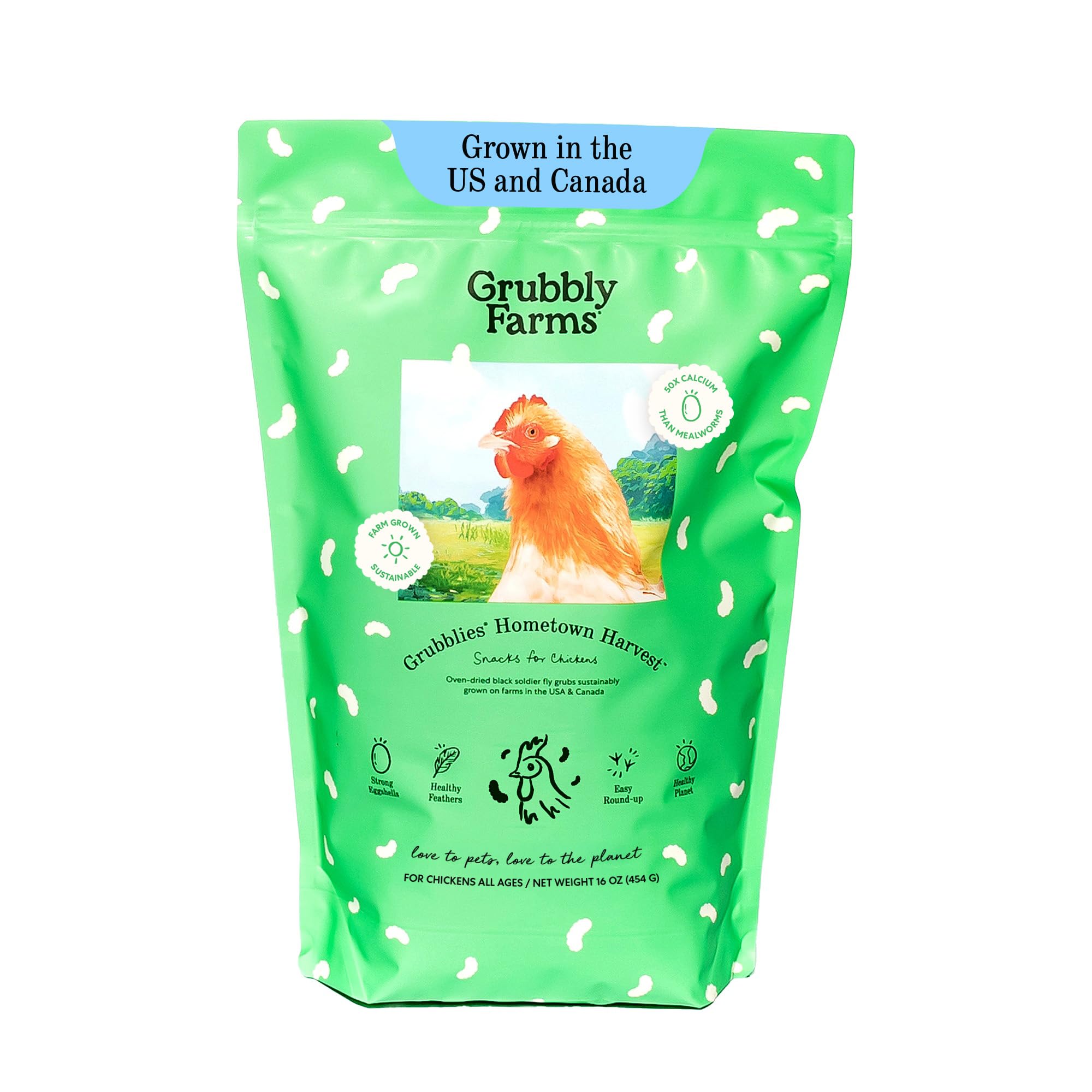 Grubbly Farms Grubblies: larvas soldado negra secas para proteína natural de gallinas.