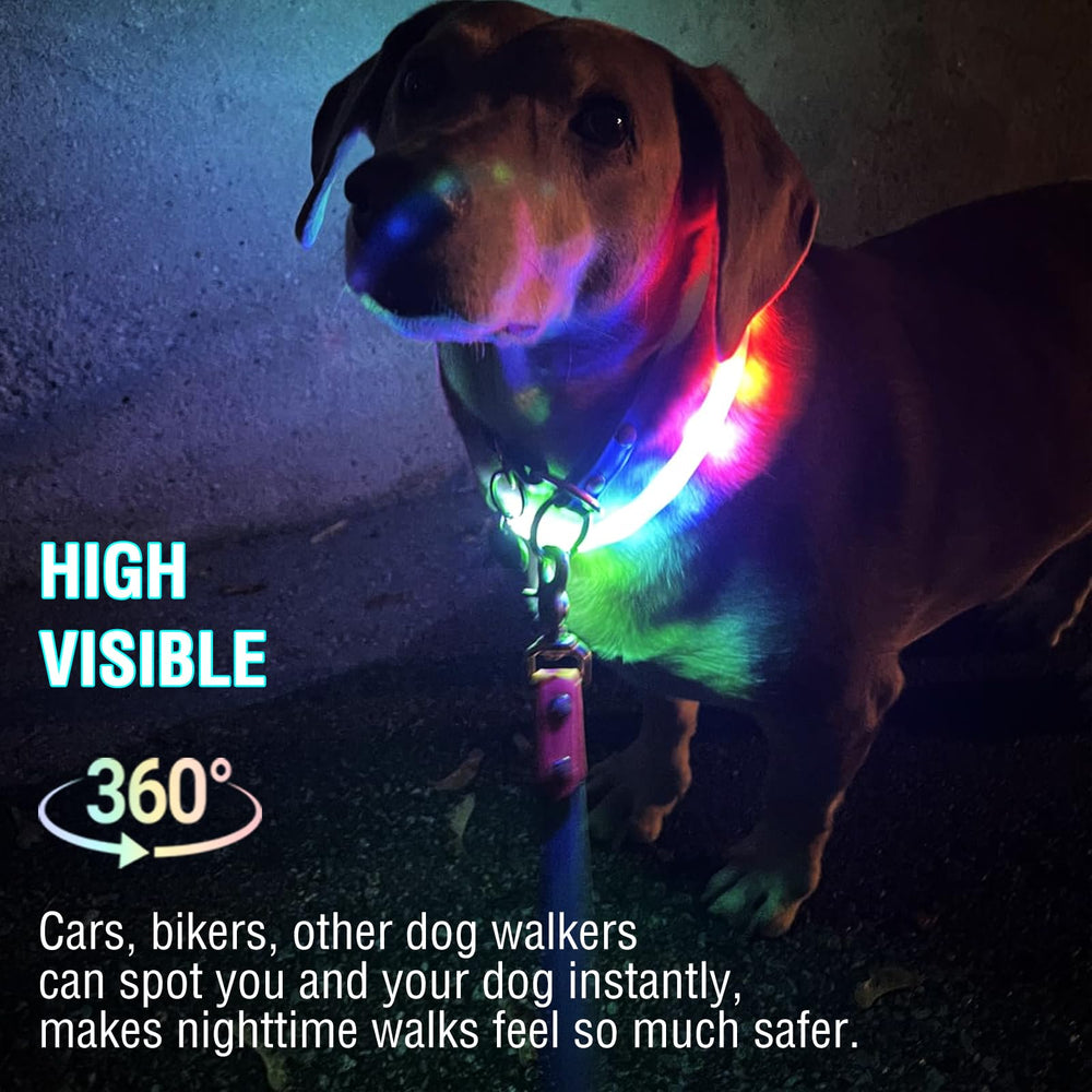 Collar GS GLOWSEEN cortable para ajuste cómodo en cuello de perro