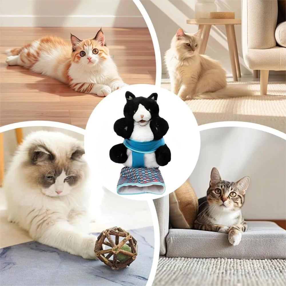 Guante con manga de protección para gatos, protege tus manos durante juego.