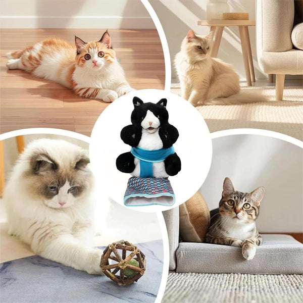 Guante con manga de protección para gatos, protege tus manos durante juego.