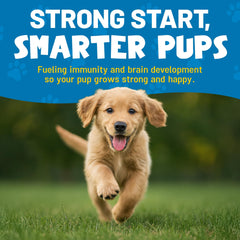 Etiqueta del frasco VitaPup con información nutricional clara.