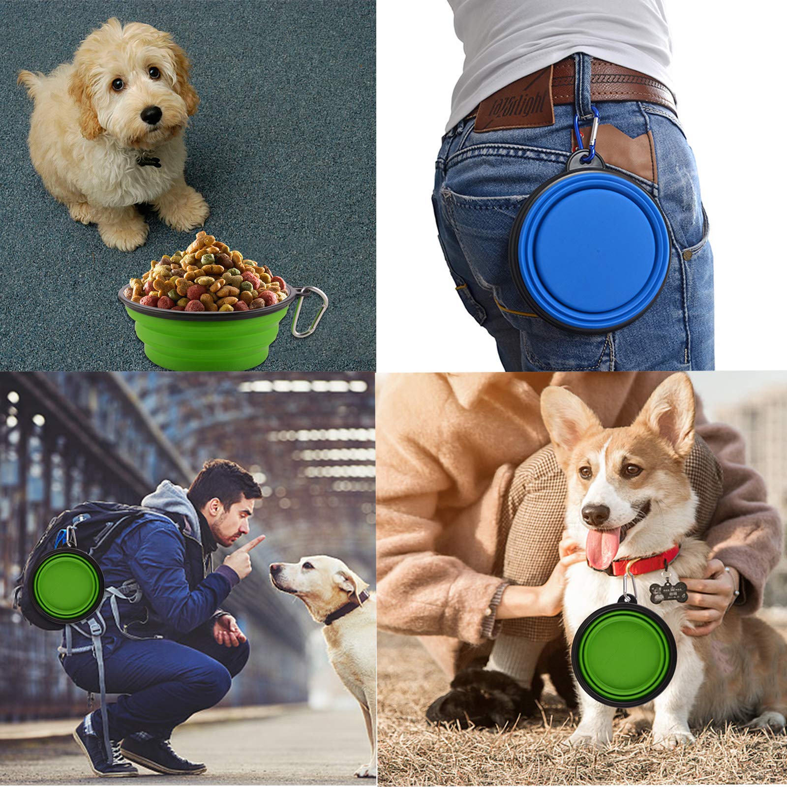 Guardians cuenco colapsable para perro verde, fácil de guardar en la mochila