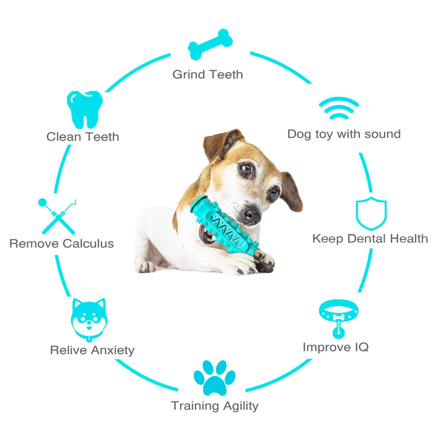 Guardians Juguete dental durable para perros medianos.
