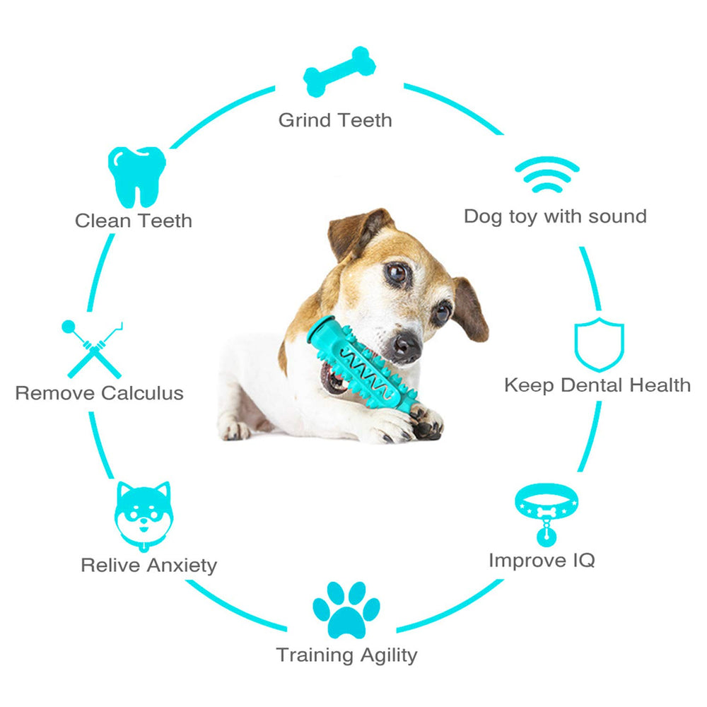 Guardians Juguete dental durable para perros medianos.