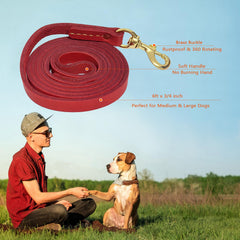 Guiding Star: correa con gancho 360, cuero, ideal para entrenamientos y control durante tirones.