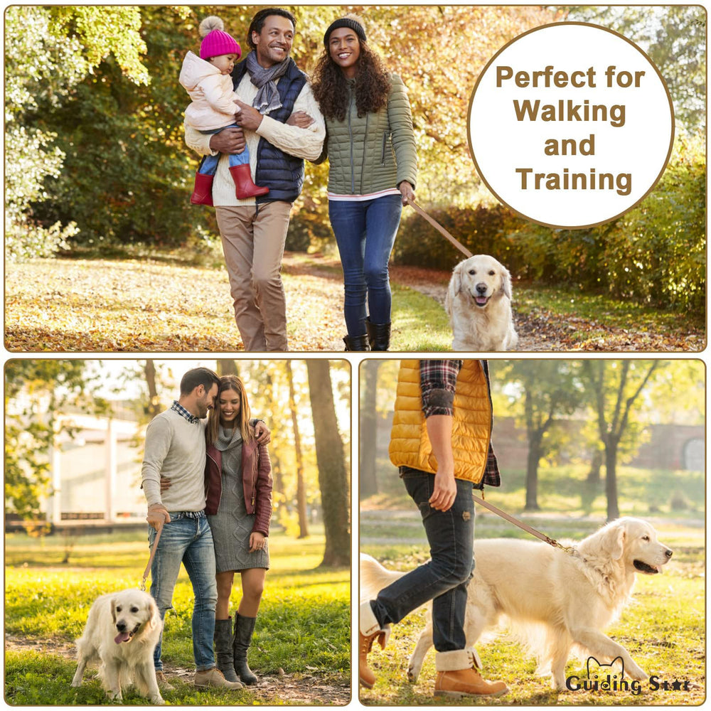 Guiding Star diseño robusto para perros grandes y control seguro