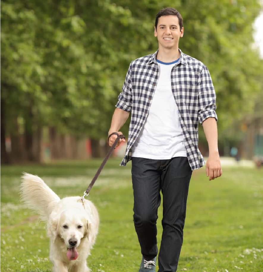 Guiding Star diseño trenzado robusto, ideal para perros de razas grandes durante paseos