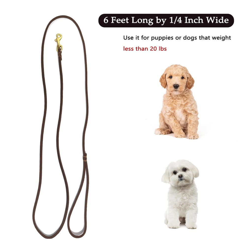 Herramienta de paseo Guiding Star para perros pequeños.