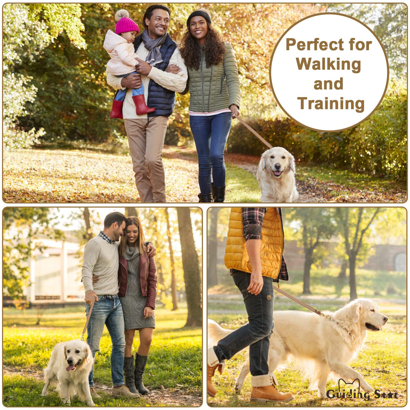 Guiding Star: correa suave para perros grandes, control estable.