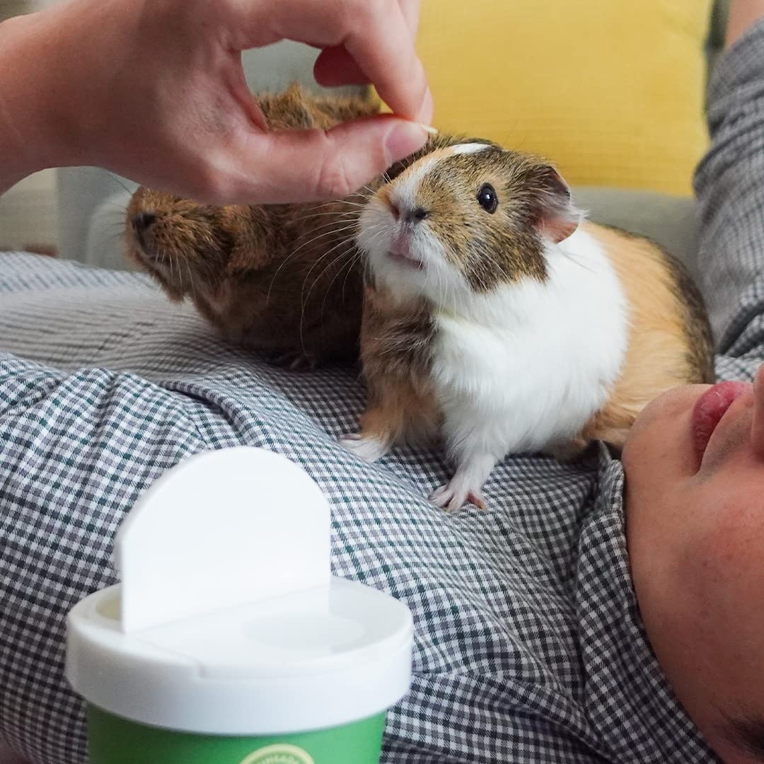 GuineaDad bocaditos orgánicos variados, muestra de sabores para premiar a la cobaya.