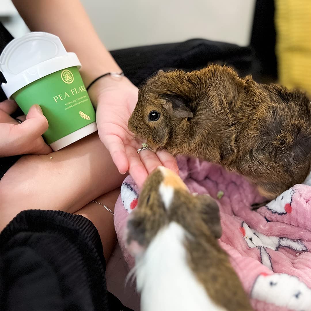 GuineaDad presentación del paquete, muestra de sabores para probar con tu cobaya.