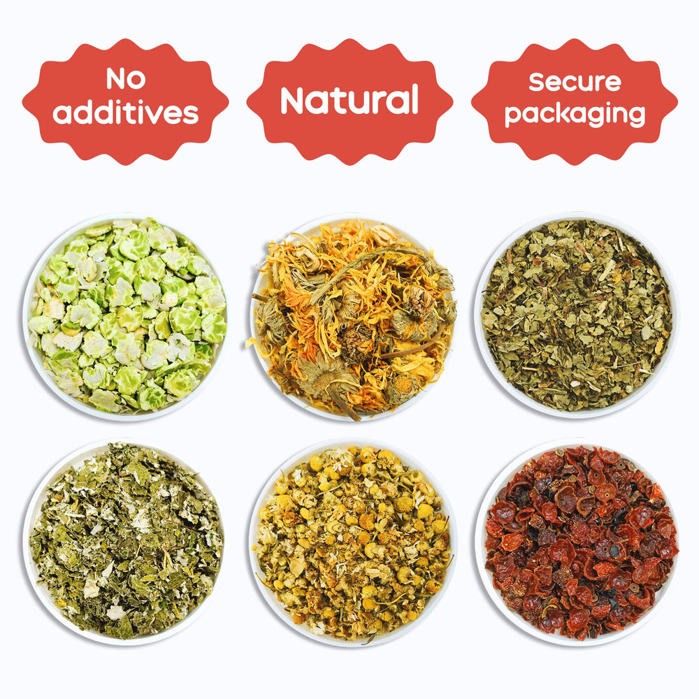 GuineaDad tratamientos herbales caléndula, digestión suave y snack nutritivo para cobaya.