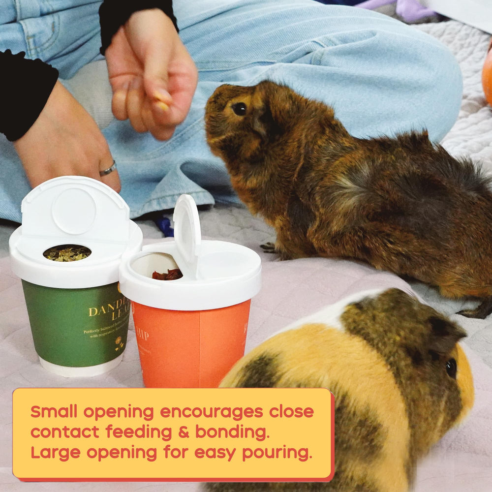 GuineaDad manzanilla calma, opción relajante para momentos tranquilos con tu cobaya.