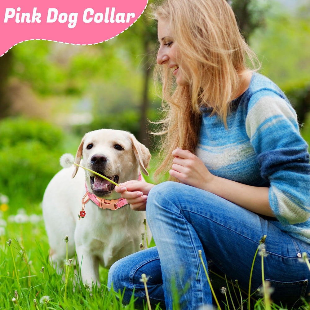Guiqulai collar con colores vivos; perfecto para combinar ropa.