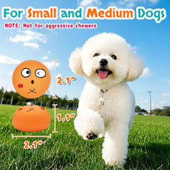 Guiwawa bolas de colores brillantes, visual atractivo para perros pequeños durante el juego.