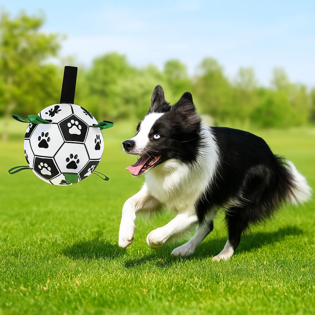 Guowanpp bola de fácil limpieza para perros tras sesiones al aire libre