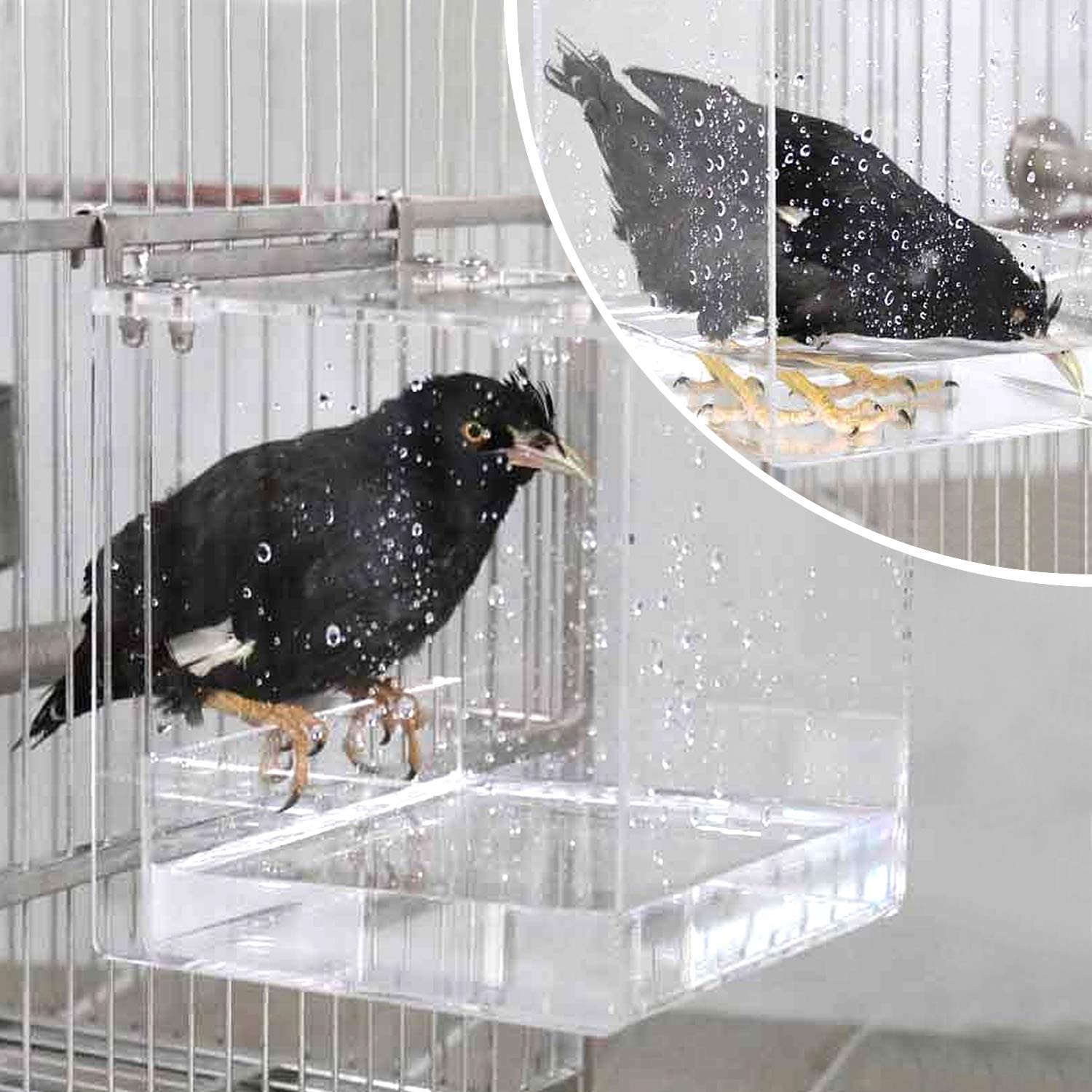 GURECOD baño de aves en acrílico transparente para claridad y limpieza.