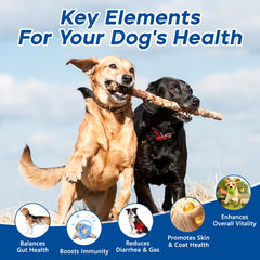 GuruAmi probióticos para perros, cuatro prebióticos, mantienen el balance intestinal.